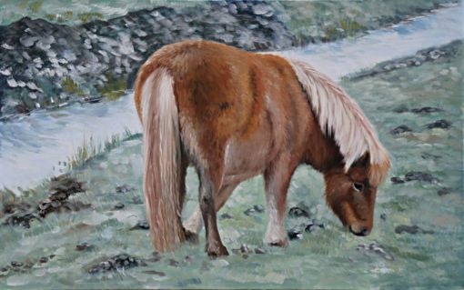 PeterPonny - obrazek 2