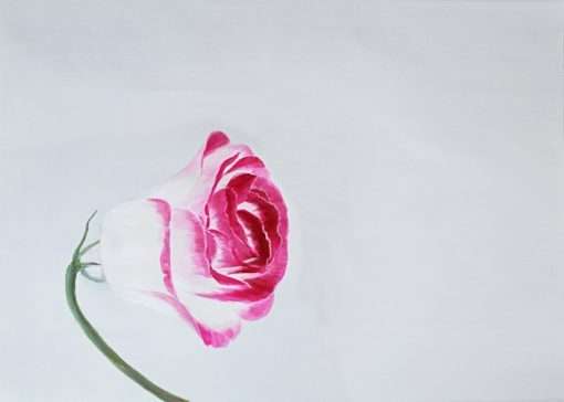 Flower - obrazek 2