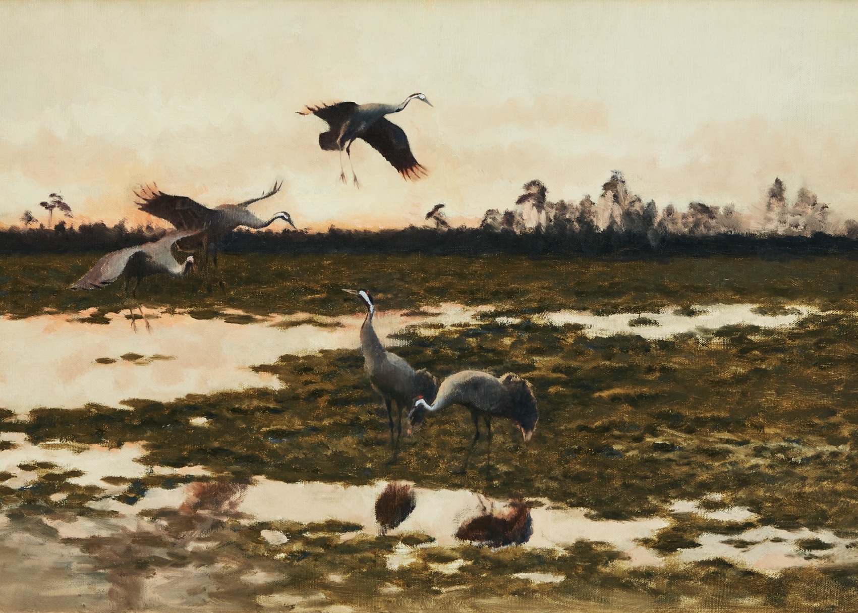 Cranes at Dusk – Canvas Collection - obrazek 2
